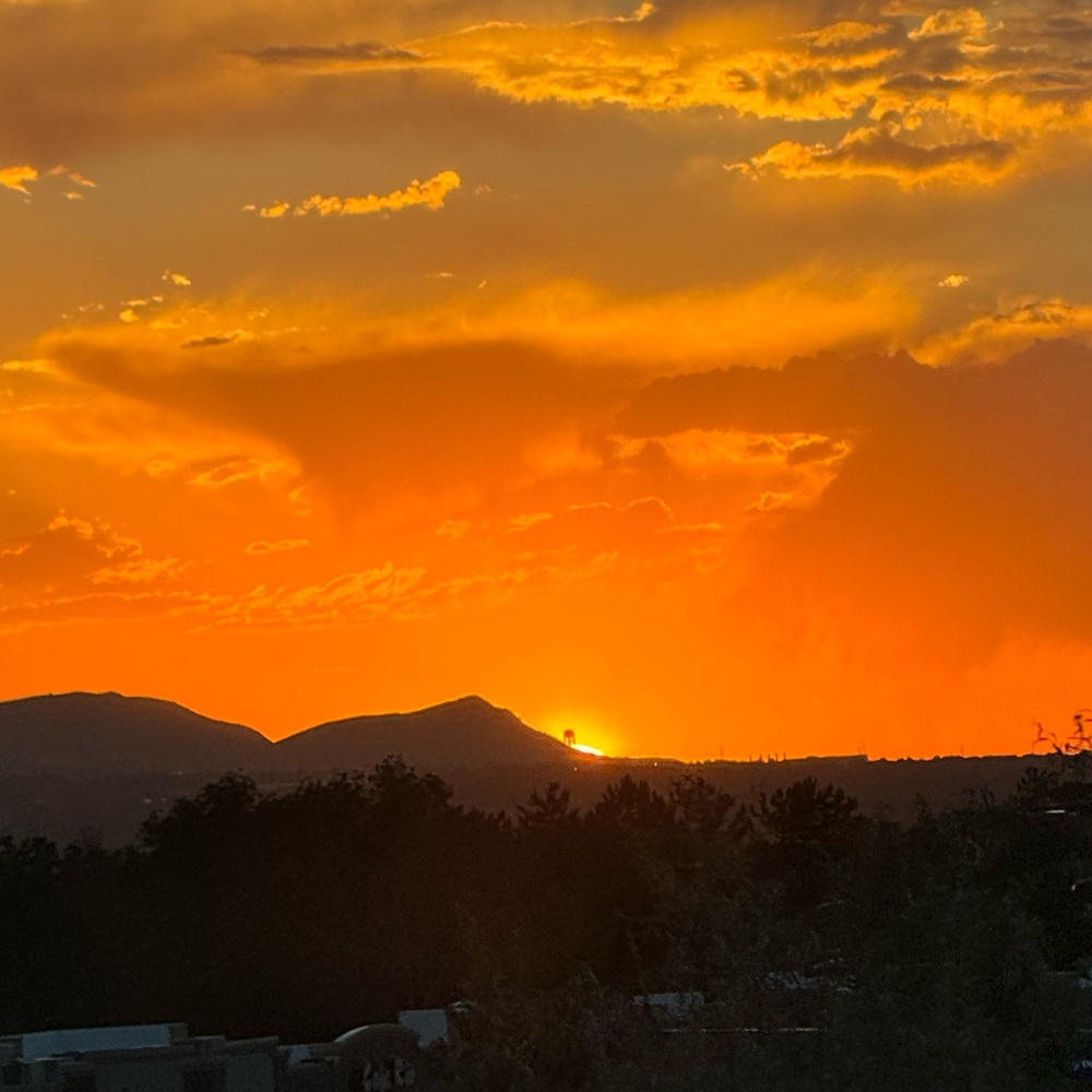 Meet your Posher, Eliza